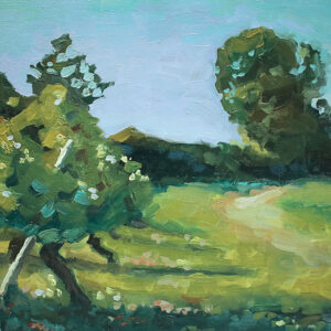 Paysage 2